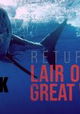 Return to the Lair of the Great White