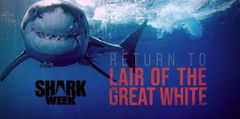 Return to the Lair of the Great White (2021)
