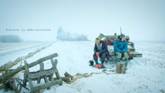 About the Birds and the Bees (2017)