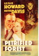 The Petrified Forest