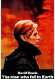 The Man Who Fell to Earth