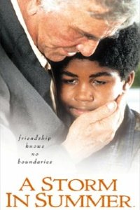 A Storm in Summer (2000)