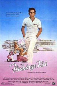 The Flamingo Kid (1984)