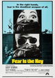 Fear Is the Key