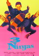3 Ninjas