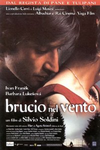 Brucio nel vento (2002)