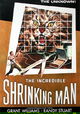 The Incredible Shrinking Man