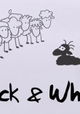 Black & White - Die Geschichte vom schwarzen Schaf