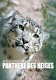 Sur les traces de la panthère des neiges