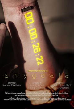 Amygdala (2024)