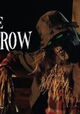 The Scarecrow