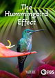 The Hummingbird Effect