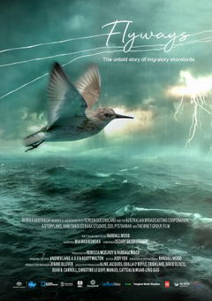 Flyways: the untold journey of migratory shorebirds (2023)