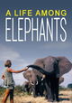 A Life Among Elephants