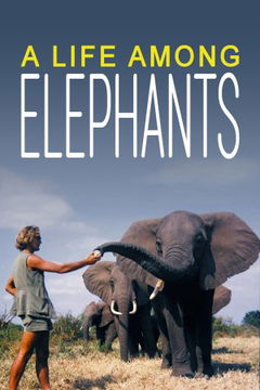 A Life Among Elephants (2024)