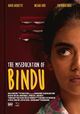 The Miseducation of Bindu