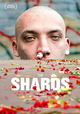 The Shards