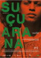 Suçuarana