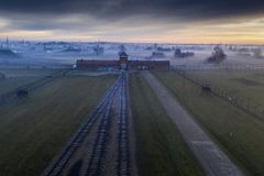 Auschwitz: Countdown to Liberation (2025)