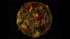 Wasteland No. 3: Moons, Sons (2021)