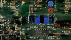 Wasteland No.1 - Ardent, Verdant (2017)