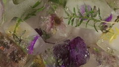 Wasteland No. 2: Hardy, Hearty (2019)