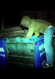 Trashed Nation