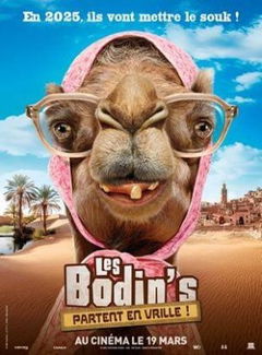 Les Bodin's partent en vrille (2025)