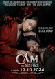 Cam