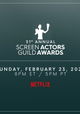 The 31st Annual Screen Actors Guild Awards