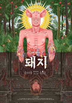 Pig That Survived Foot-and-Mouth Disease (2024)