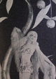 The Angel of Broadway