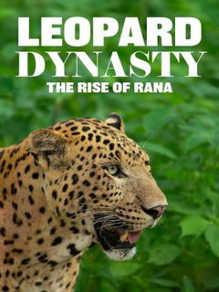 Leopard Dynasty-The Rise of Rana (2025)