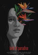 Bird of Paradise