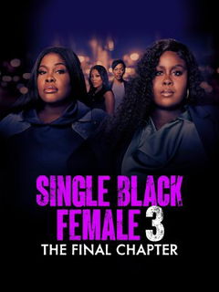Single Black Female 3: The Final Chapter (2025)