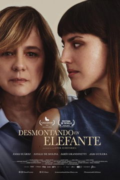 Desmontando un elefante (2024)