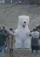 Inflatable Bear, Hourly