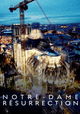 De herrijzenis van de Notre Dame