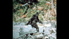 Patterson-Gimlin Film (1967)