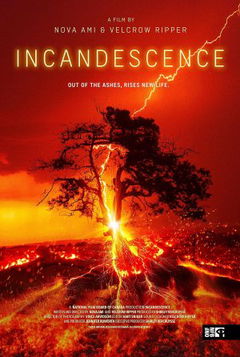 Incandescence (2024)