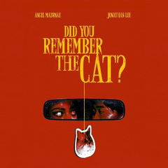 Did You Remember the Cat