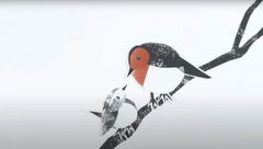 The Robin and the Wren (2023)