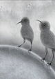 Volgens de vogels