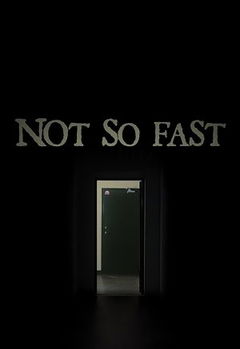 Not So Fast (2014)