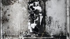 Unearthed (2024)