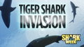 Tiger Shark Invasion (2018)