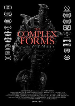 The Complex Forms (2023)