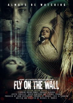 Fly on the Wall (2018)