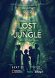 Lost in the Jungle