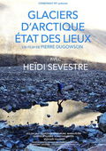 Glaciers d'Arctique, état des lieux (2025)
